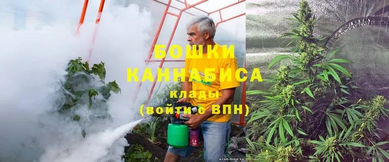 Бошки марихуана Bruce Banner  как найти наркотики  блэк спрут ССЫЛКА  Прохладный 